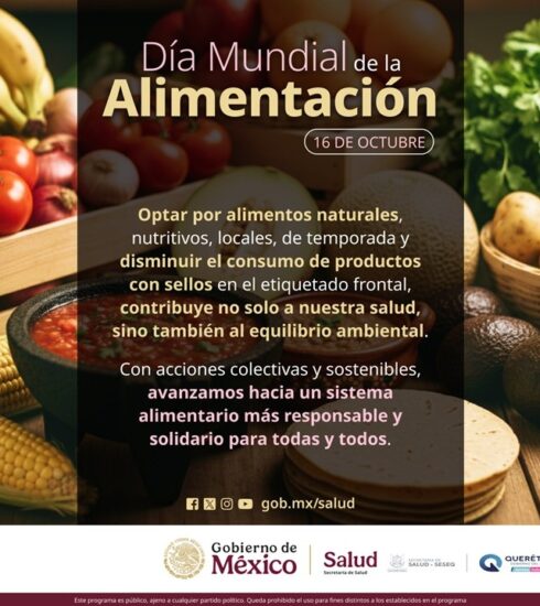 71 273 49472 2048123929 1 1610 sesa alimentacion