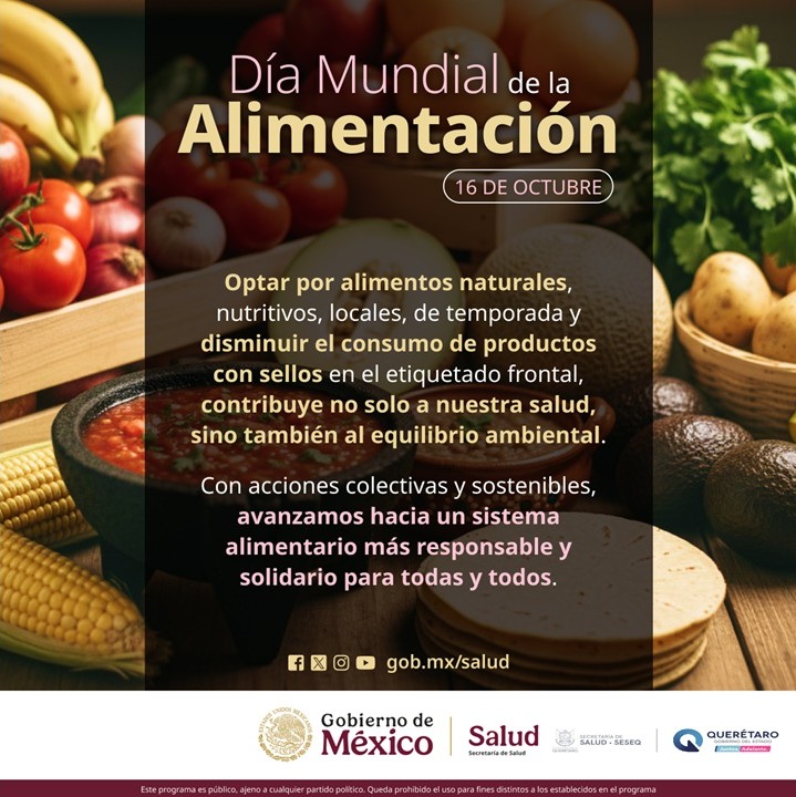 71 273 49472 2048123929 1 1610 sesa alimentacion