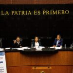 71 273 49529 1994960595 senado 01