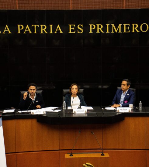 71 273 49529 1994960595 senado 01
