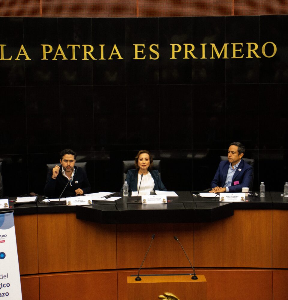 71 273 49529 1994960595 senado 01