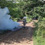 71 273 49572 328480994 img 2460