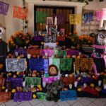 71 273 49591 1700915416 img 2503