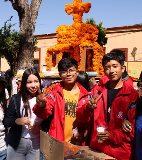 71 273 49649 1807168208 img 7301