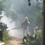 71 273 49655 835731722 1 0111 sesa vigilancia (1)