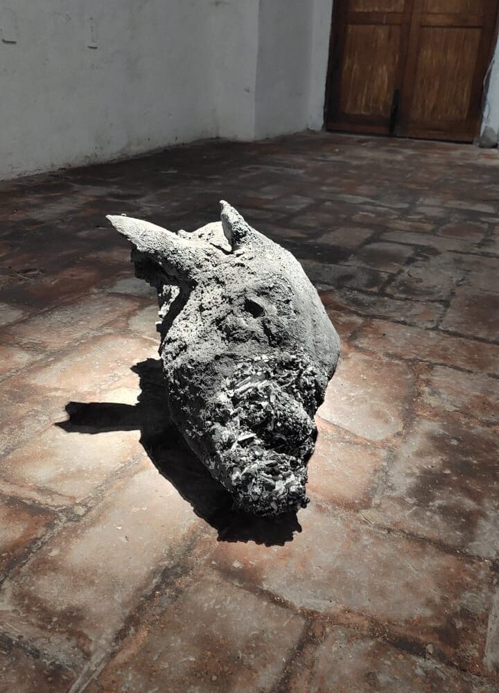 71 273 50001 456871349 img 3393
