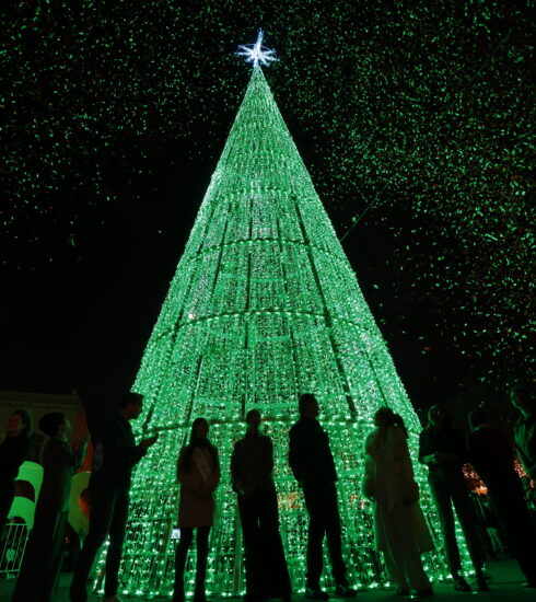 71 273 50023 914125632 03 12 encendido navidad 01