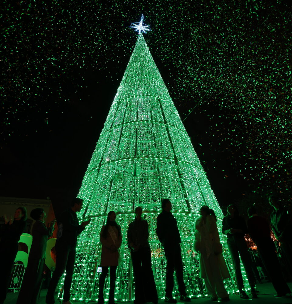 71 273 50023 914125632 03 12 encendido navidad 01