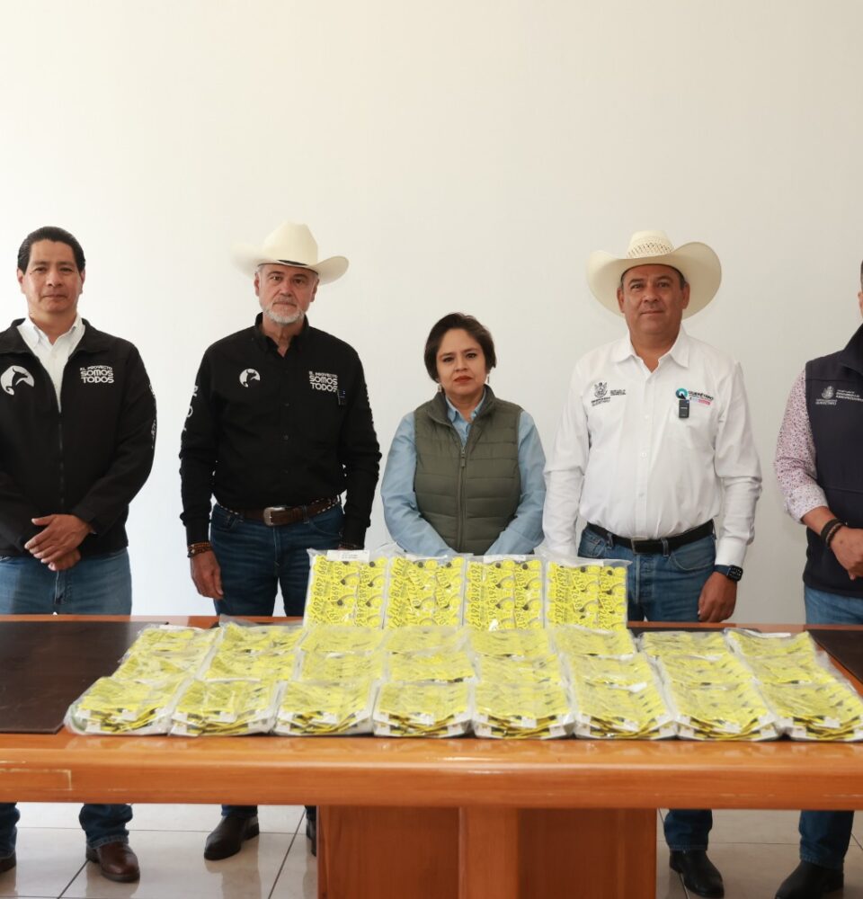 71 273 50027 1972222475 sedea entrega de identificadores 4