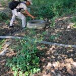 71 273 50052 1753729545 img 3011