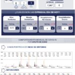 71 273 50062 837831714 1 0812 sesa metrica covid19