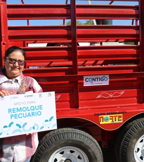 71 273 50078 428678489 sedea entrega apoyoslanda 1