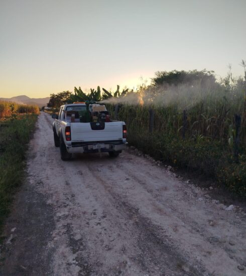 71 273 50113 1039758623 1 1312 sesa acciones vectores