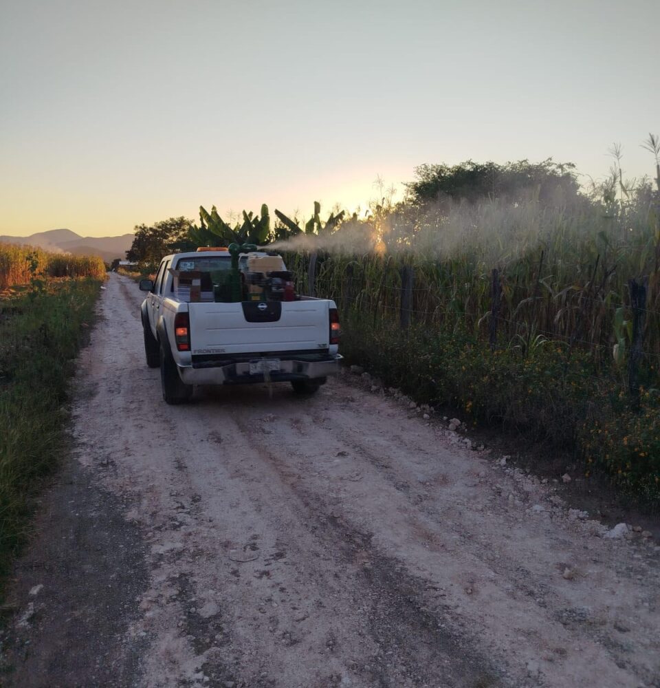 71 273 50113 1039758623 1 1312 sesa acciones vectores
