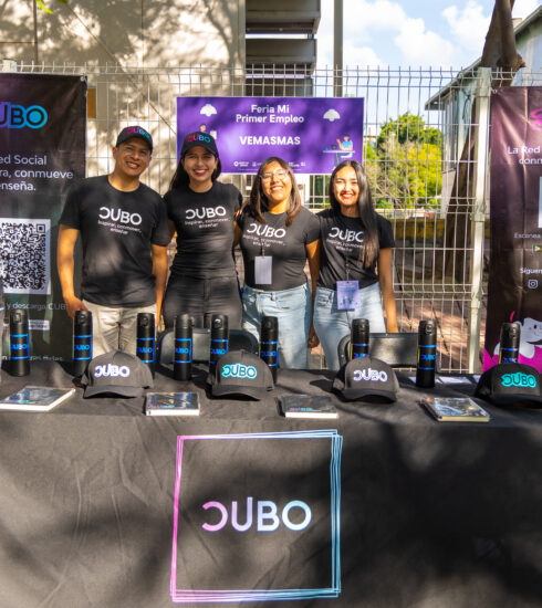 71 273 50188 1738978542 23 12 25 SEJUVE RESUMEN DESARROLLO PROFESIONAL