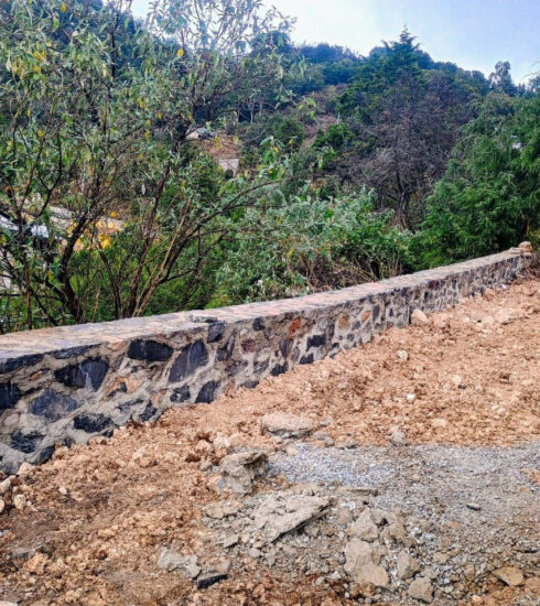 71 273 50233 1709569434 IMG