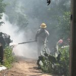 71 273 50262 148468485 IMG