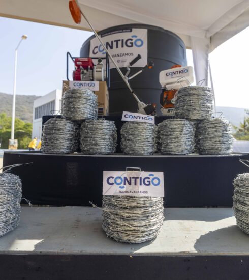 71 273 50275 1337860387 IMG