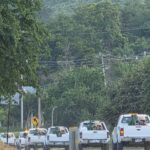 71 273 50298 1220250800 1 1301 SESA ACTIVIDADES VECTORES