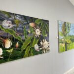 71 273 50364 151557559 21 01 26 Amoles3