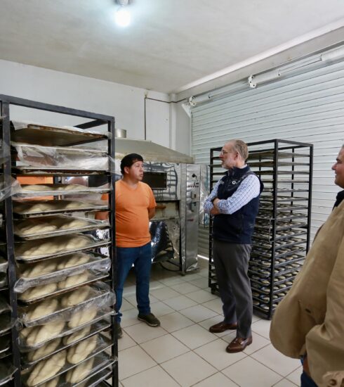 71 273 50443 814247224 01 28 ENTREGA IQEI (8)