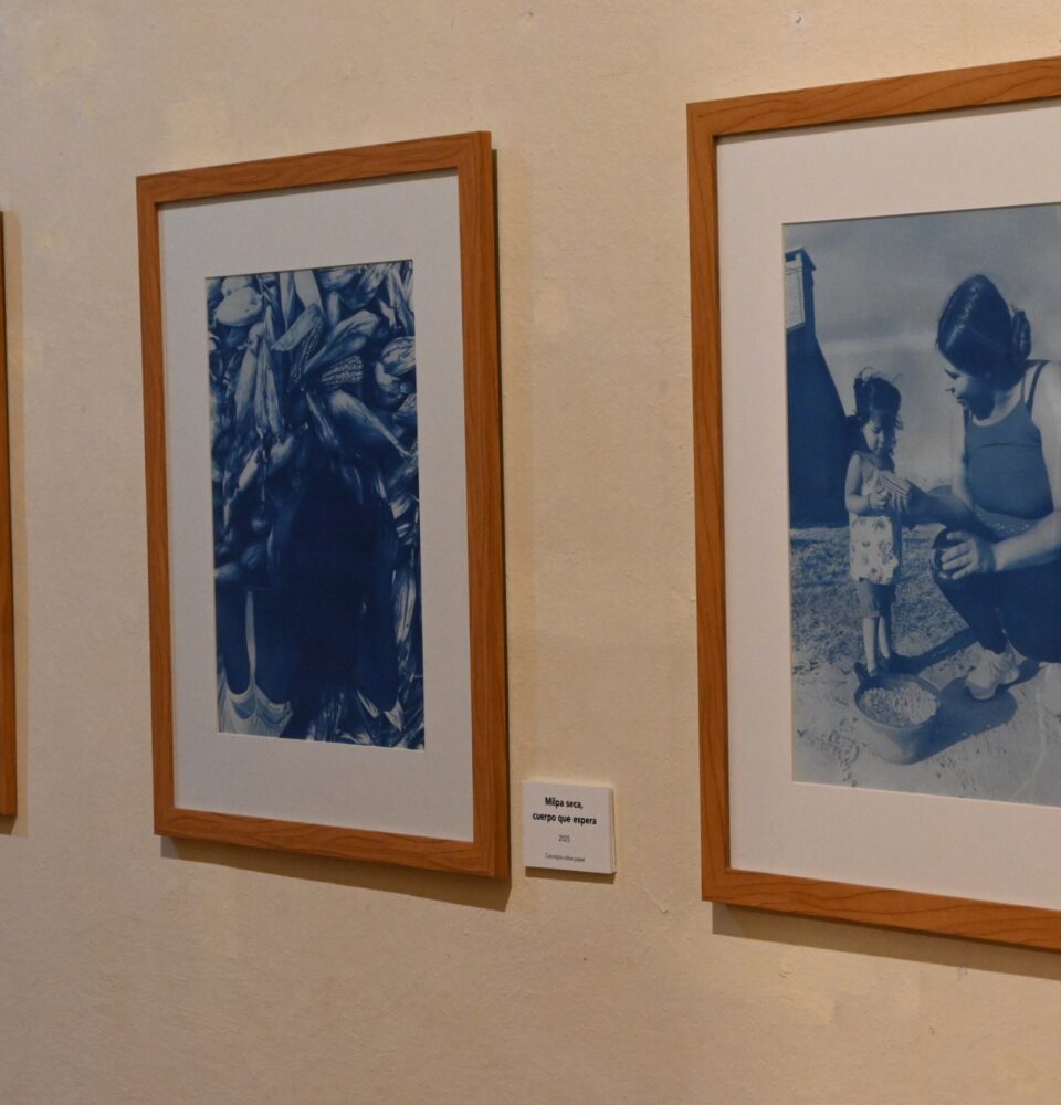 71 273 50517 1438365035 08 02 26 MAQRO5