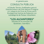 71 273 50593 2022861886 LOS ALCANFORES