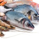 71 273 50625 850699359 3 1702 SESA RECOMENDACIONES