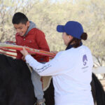 71 273 50651 183819924 190227 EQUINOTERAPIA