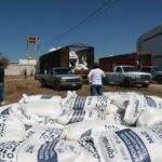 71 273 50658 532844116 SEDEA maiz TX 20 02 2026