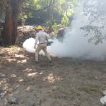 71 273 50672 639299150 IMG