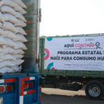 Captura de pantalla (154)