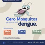 MASTER DENGUE 2025 MOSQUITO
