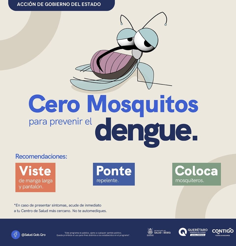 MASTER DENGUE 2025 MOSQUITO