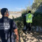 71 273 50874 586359306 17 03 26 FOTO 9 RESULTADOS FEBRERO JUSTICIA CIVICA (1)