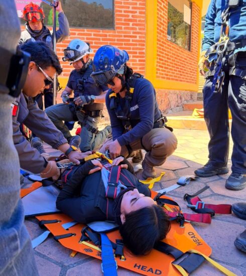 71 273 50987 81493528 IMG