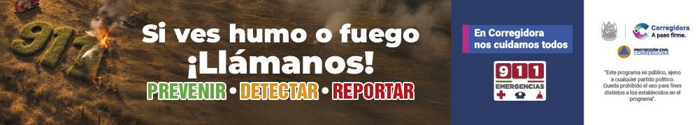 1000 x 180px QUERÉTARO DE VERDAD