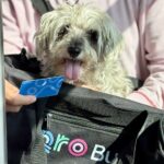 71 273 51136 655737230 IMG