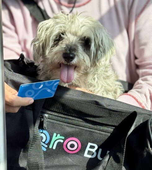 71 273 51136 655737230 IMG