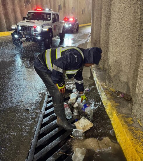 71 273 51217 148361209 IMG