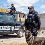 71 273 51240 24779265 ENSU 2026 POES (1)