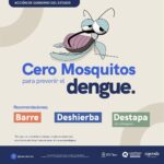 MASTER DENGUE 2025 MOSQUITO