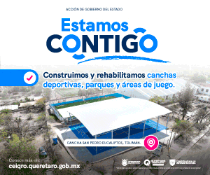 300QUERETARO DE VERDAD CEIQ ESTAMOS CONTIGO EUCALIPTOS 300X250