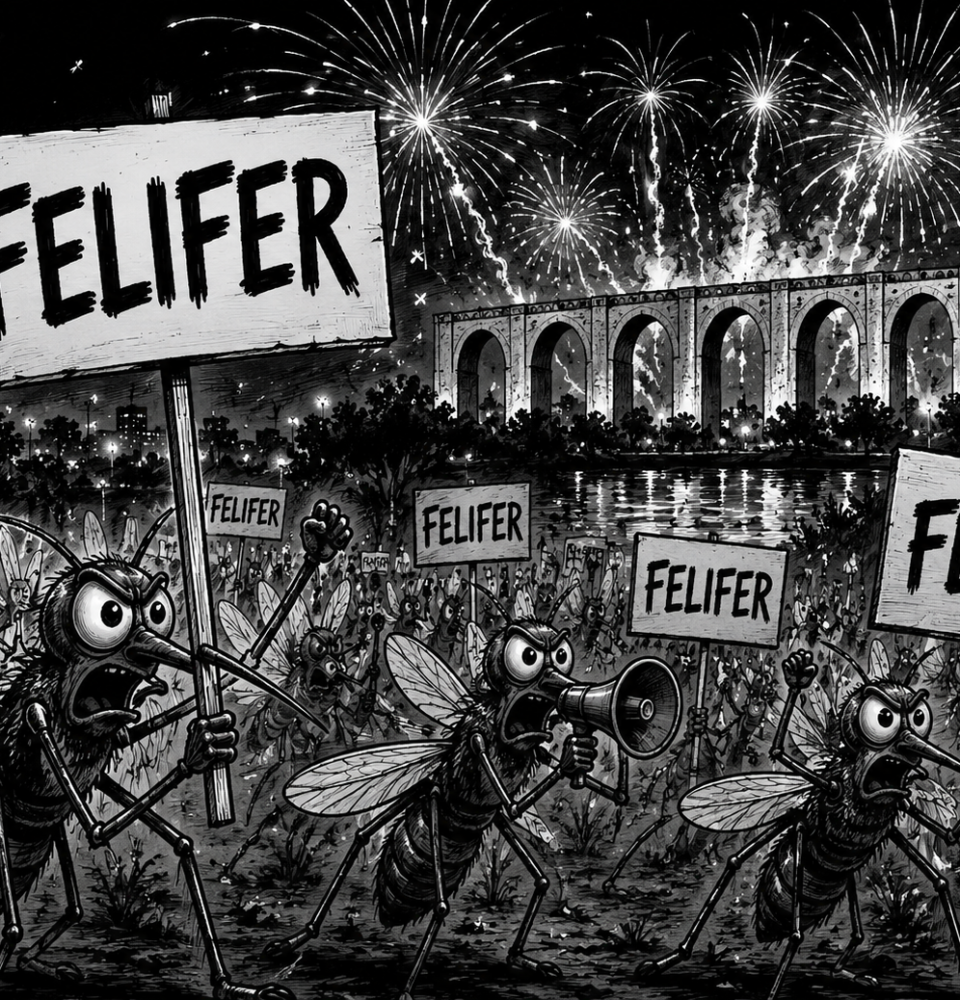 File 00000000f5ac71fdaa6613dfee530421