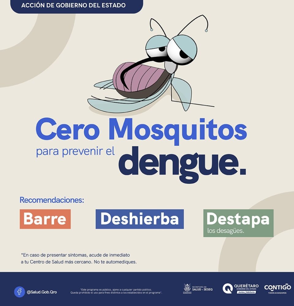 MASTER DENGUE 2025 MOSQUITO