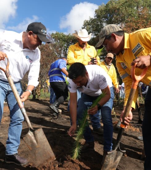 71 273 51728 1532156512 Reforestacion Huimilpan 12 06 2026