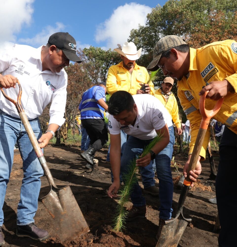71 273 51728 1532156512 Reforestacion Huimilpan 12 06 2026