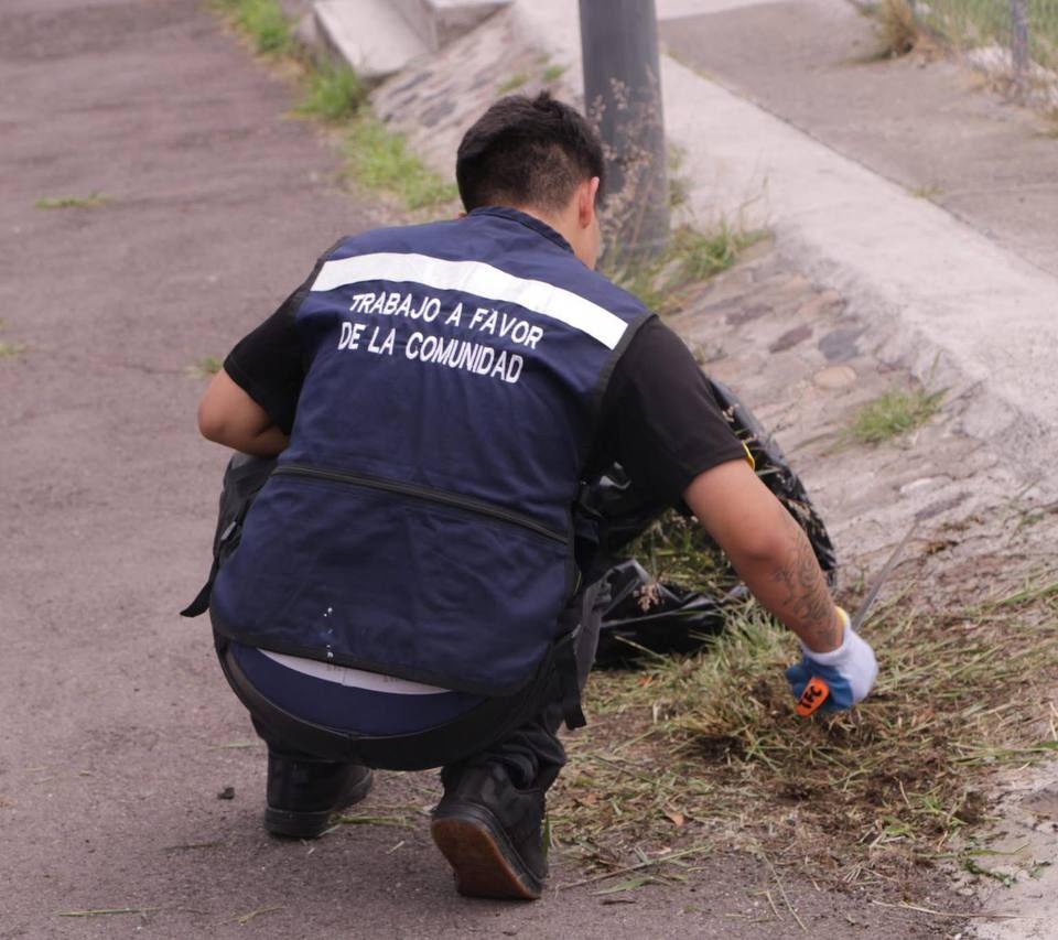 71 273 51808 323168176 20 junio 2026 FOTO 10 resultados justicia civica