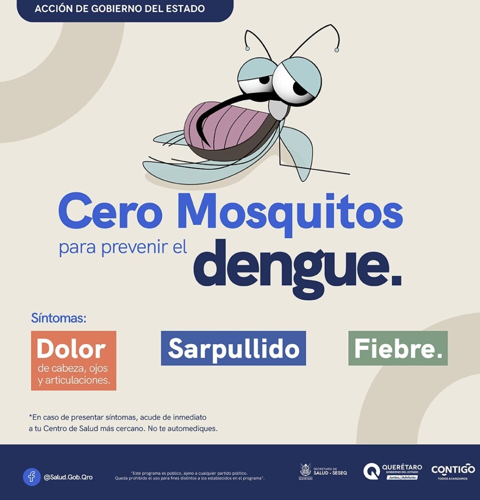 MASTER DENGUE 2025 MOSQUITO