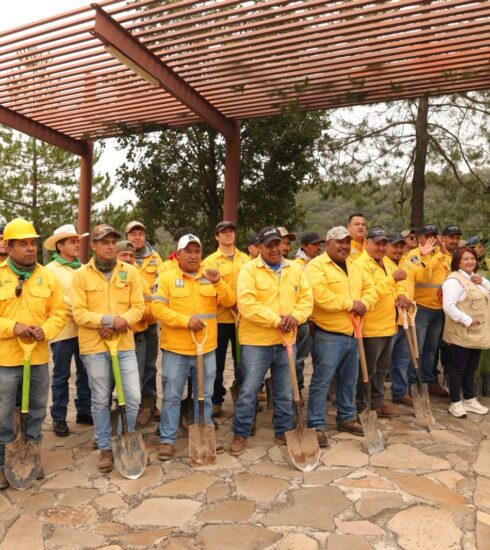 71 273 52001 1259851526 Reforestacion La Beata 15 de julio 2026
